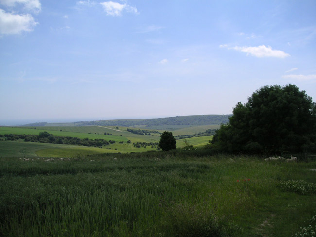 2004_0616_132350AA