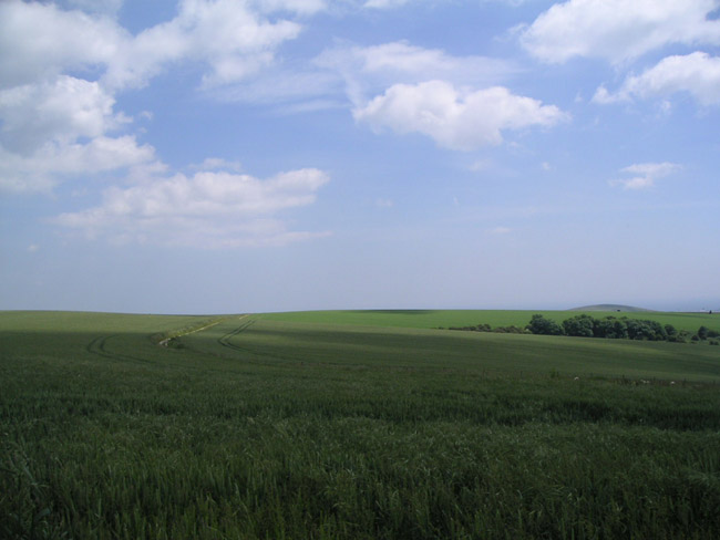2004_0616_132358AA