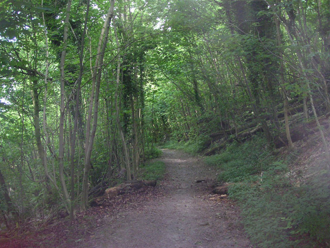 2004_0616_133317AA