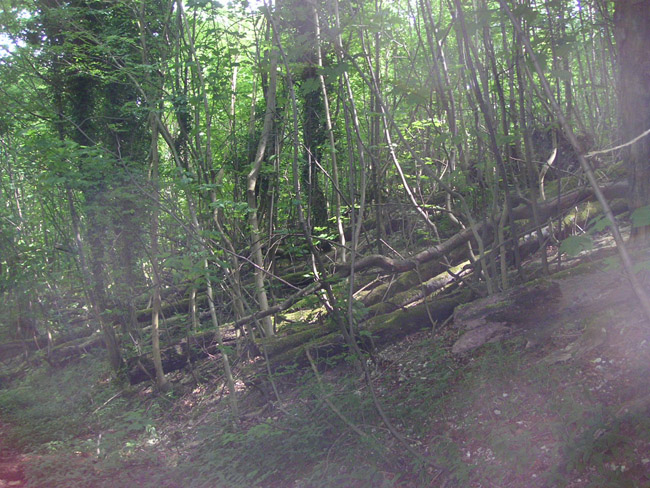 2004_0616_133327AA