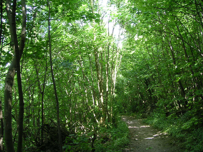 2004_0616_133432AA