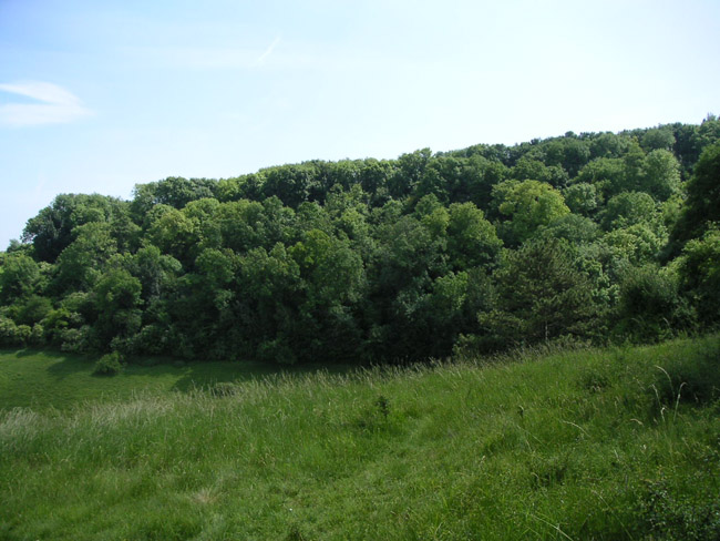 2004_0616_135003AA