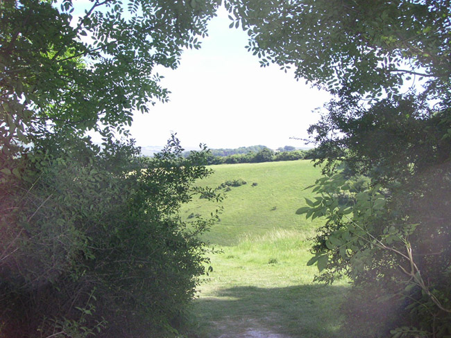2004_0616_135046AA