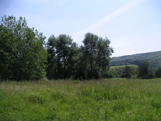 2004_0616_141215AA