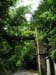 2004_0616_114147AA