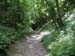 2004_0616_121623AA