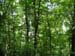 2004_0616_121908AA