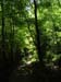 2004_0616_121935AA