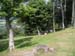 2004_0616_124352AA