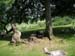 2004_0616_125053AA