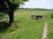 2004_0616_125059AA
