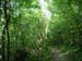 2004_0616_133432AA
