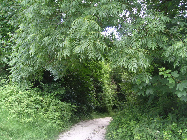 2004_0619_105148AA
