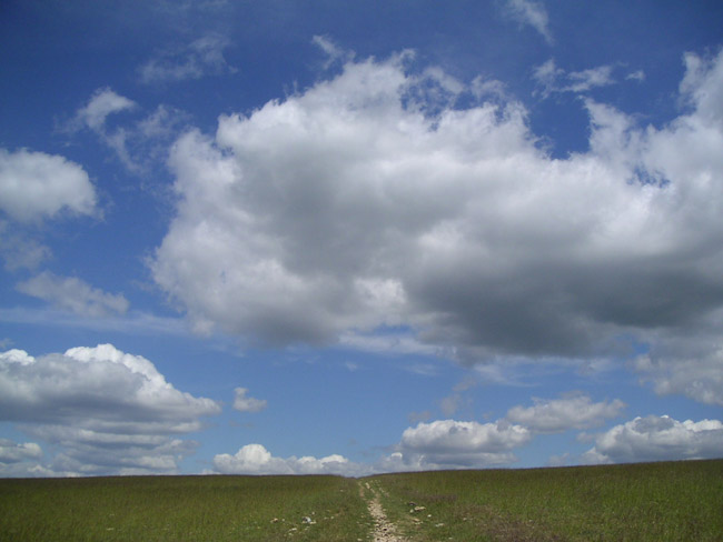 2004_0619_114445AA