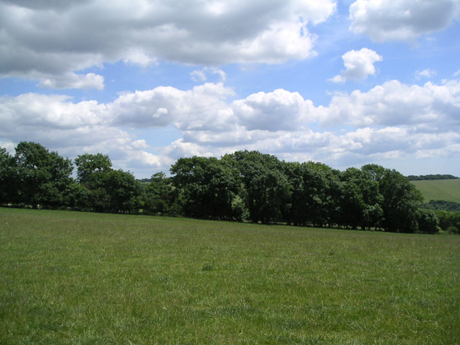 2004_0619_115603AA