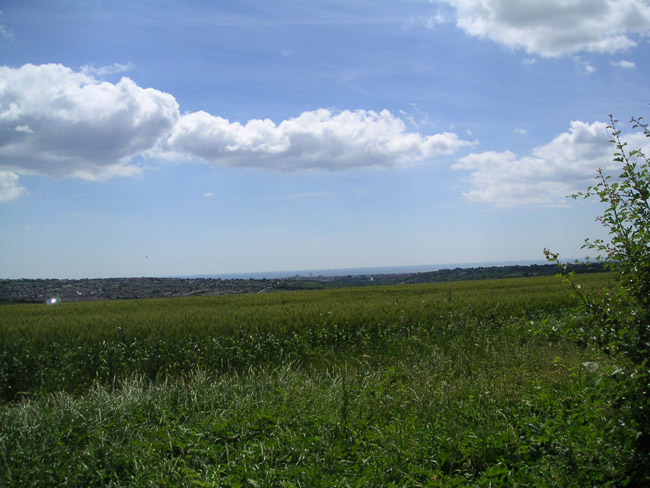 2004_0619_120906AA