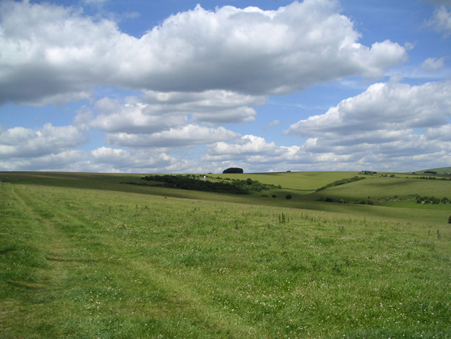 2004_0619_124205AA