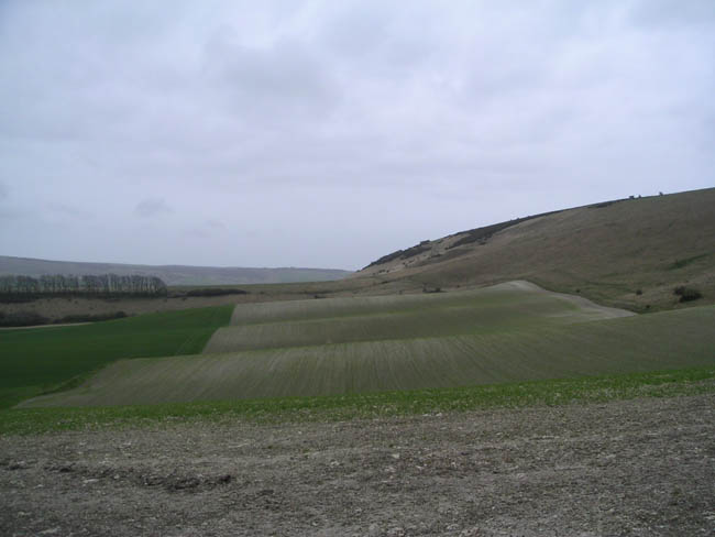2004_0405_114408AA