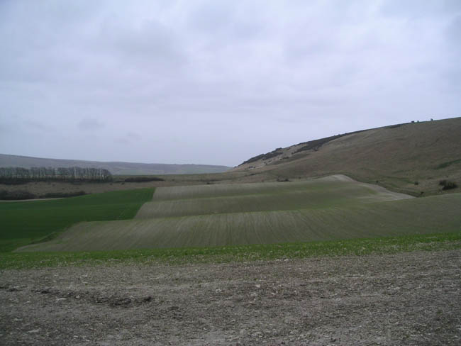 2004_0405_114417AA