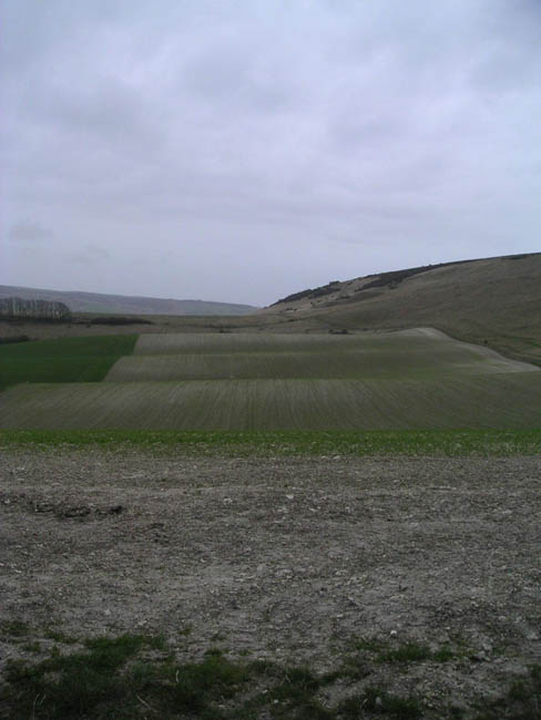 2004_0405_114423AA