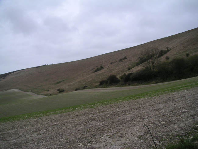 2004_0405_114445AA