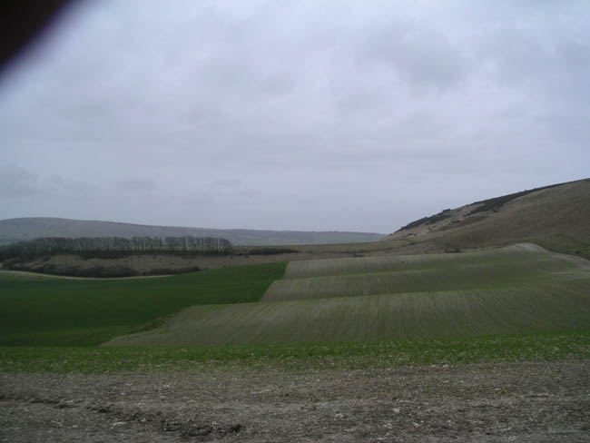 2004_0405_114503AA