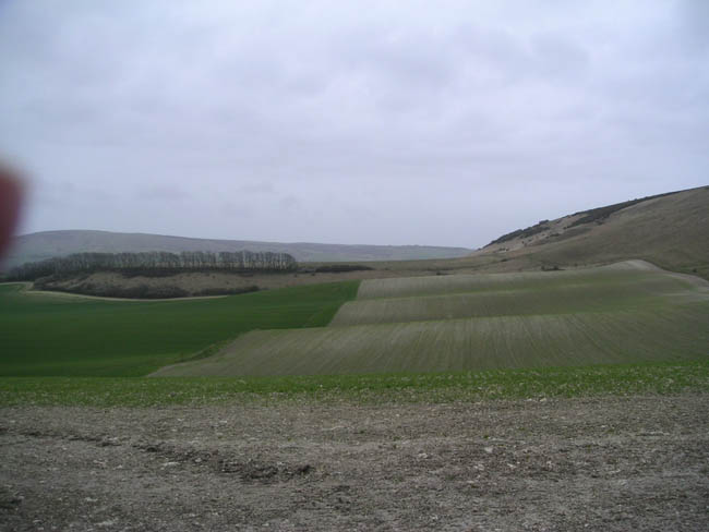 2004_0405_114518AA