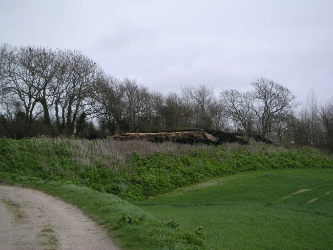 2004_0405_121333AA