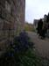 2004_0405_144241AA