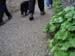2004_0405_144251AA