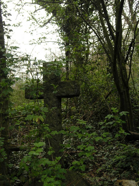2004_0407_121214AA