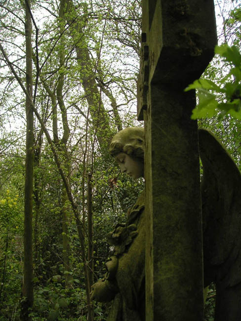 2004_0407_121347AA