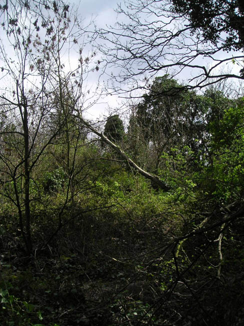 2004_0407_122933AA