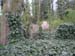 2004_0407_111918AA