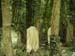 2004_0407_112714AA