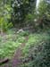 2004_0407_115411AA