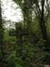 2004_0407_121214AA