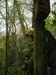 2004_0407_121347AA