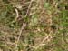 2004_0407_121450AA
