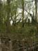 2004_0407_121624AA