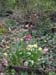2004_0407_122828AA