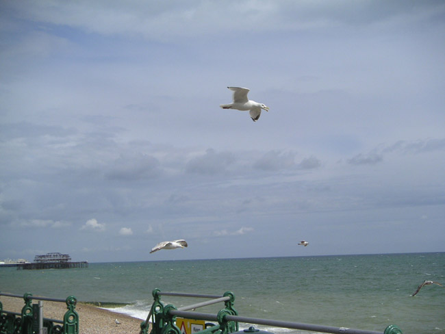 2004_0620_152027AA