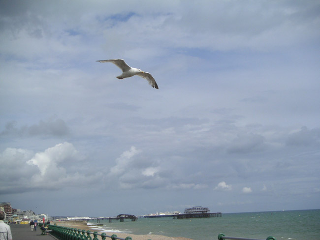 2004_0620_152031AA