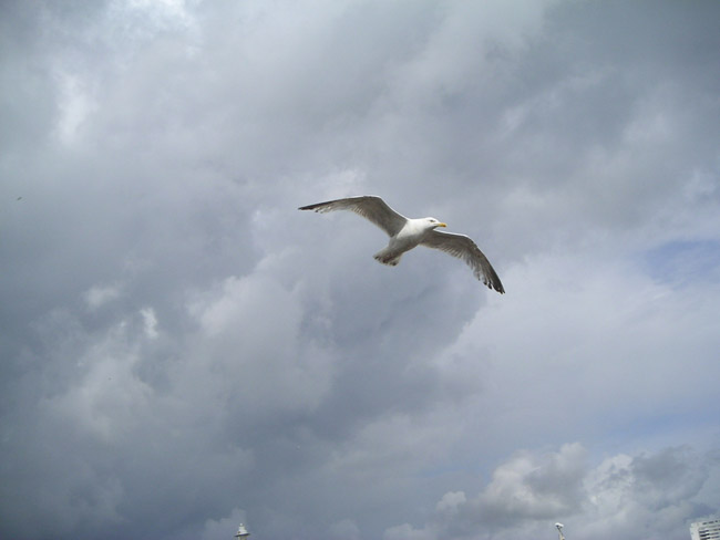 2004_0620_152035AA