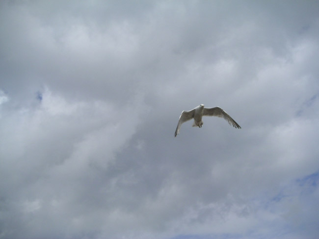2004_0620_152052AA
