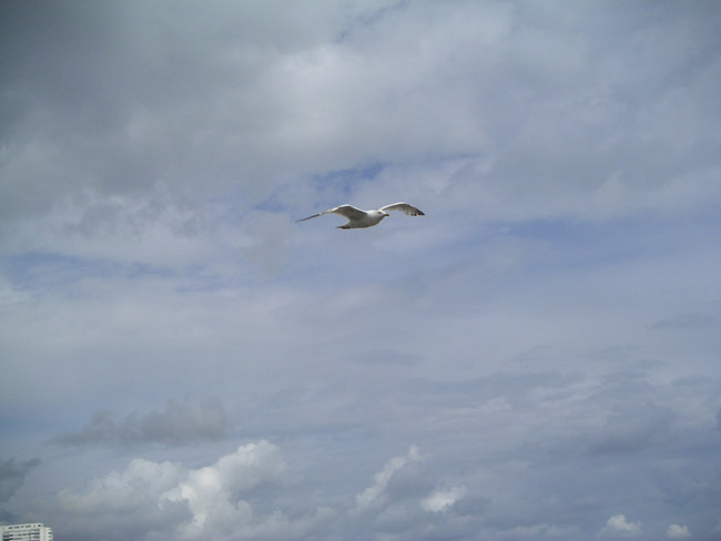 2004_0620_152100AA