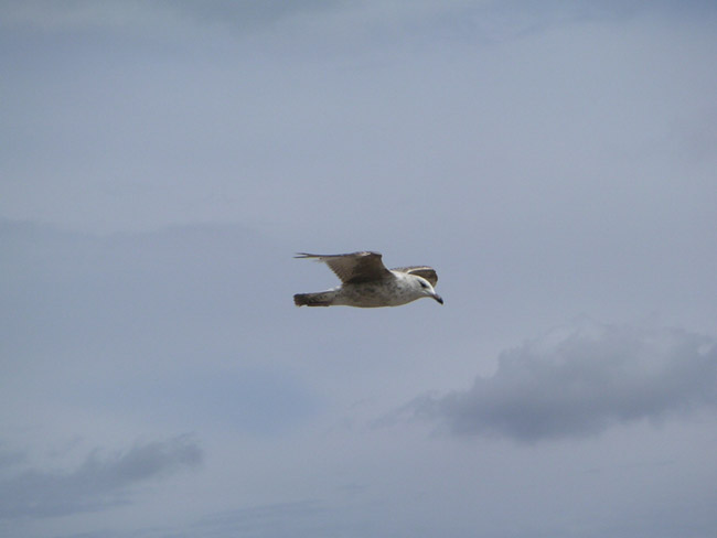 2004_0620_152114AA