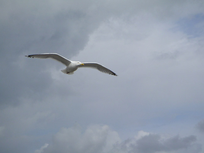 2004_0620_152121AA