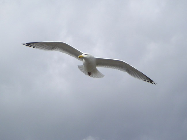 2004_0620_152132AA
