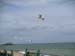 2004_0620_152027AA